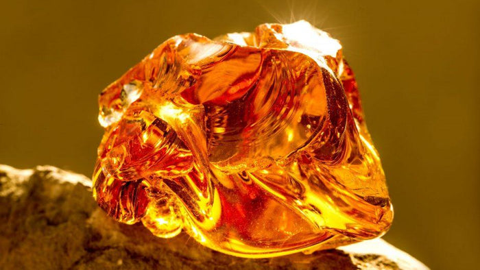 What Is Amber? A Gemologist’s Guide to Amber & Blue Amber – BLUE AMBER ...