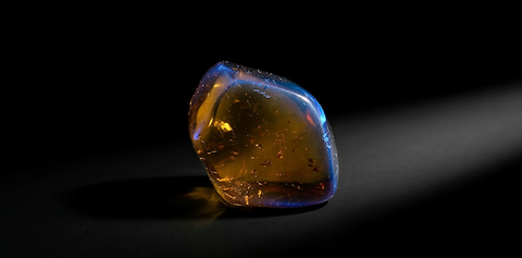 Sulawesi Amber — South Sulawesi Deposits and Properties