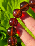 Natural Sumatran Blue Amber Bracelet – Polished Cognac Amber Beads | Indonesian Collector Jewellery