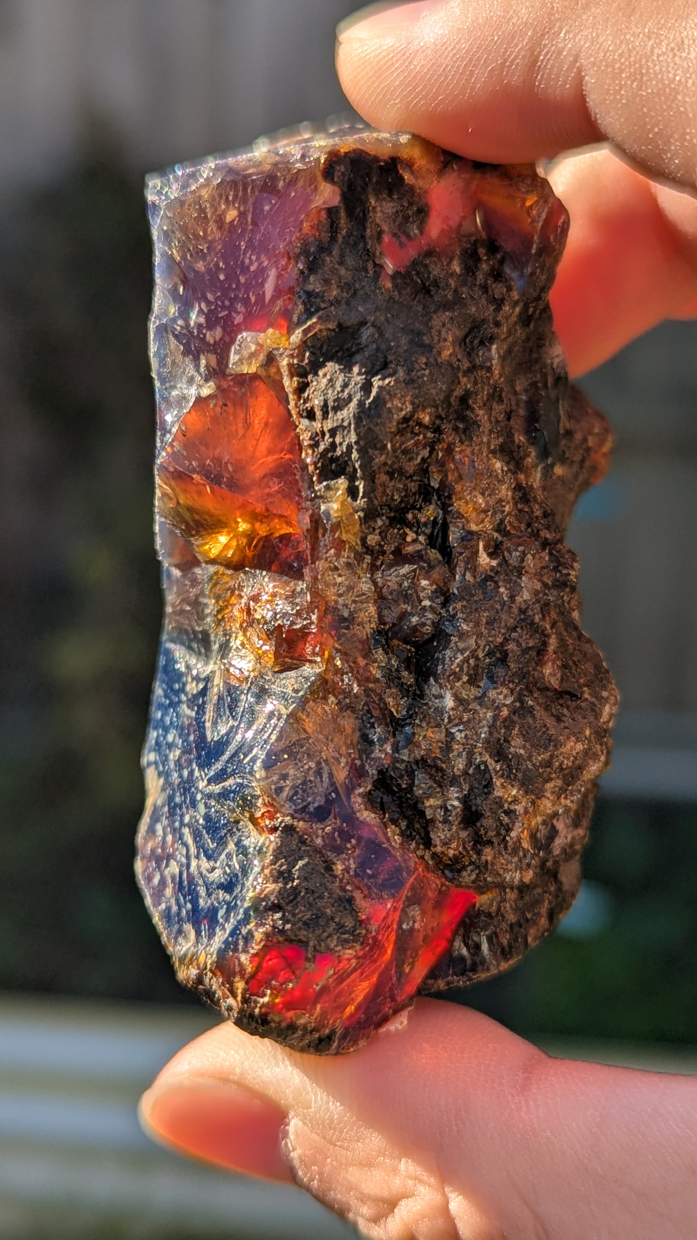 Rare Raw Blue Amber (64 Grams) – Sunlight Glowing, UV-Reactive Natural Gemstone