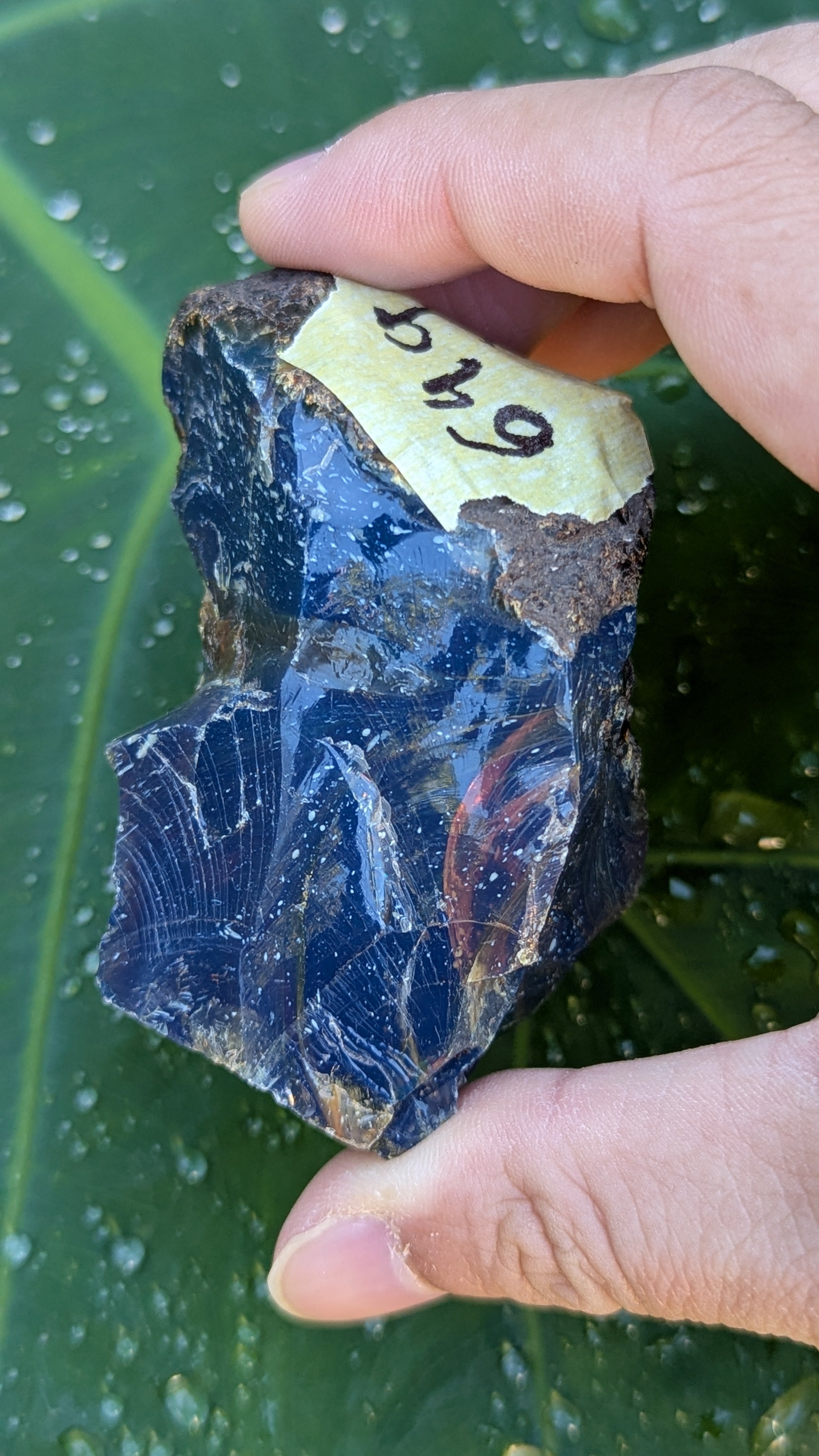 Rare Raw Blue Amber (64 Grams) – Sunlight Glowing, UV-Reactive Natural Gemstone
