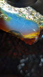Large Rare Blue Amber Specimen (80 grams) - Excellent Grade +AAA - Natural Blue Amber - Amber Specimen - Natural Amber Stone - UV Reactive