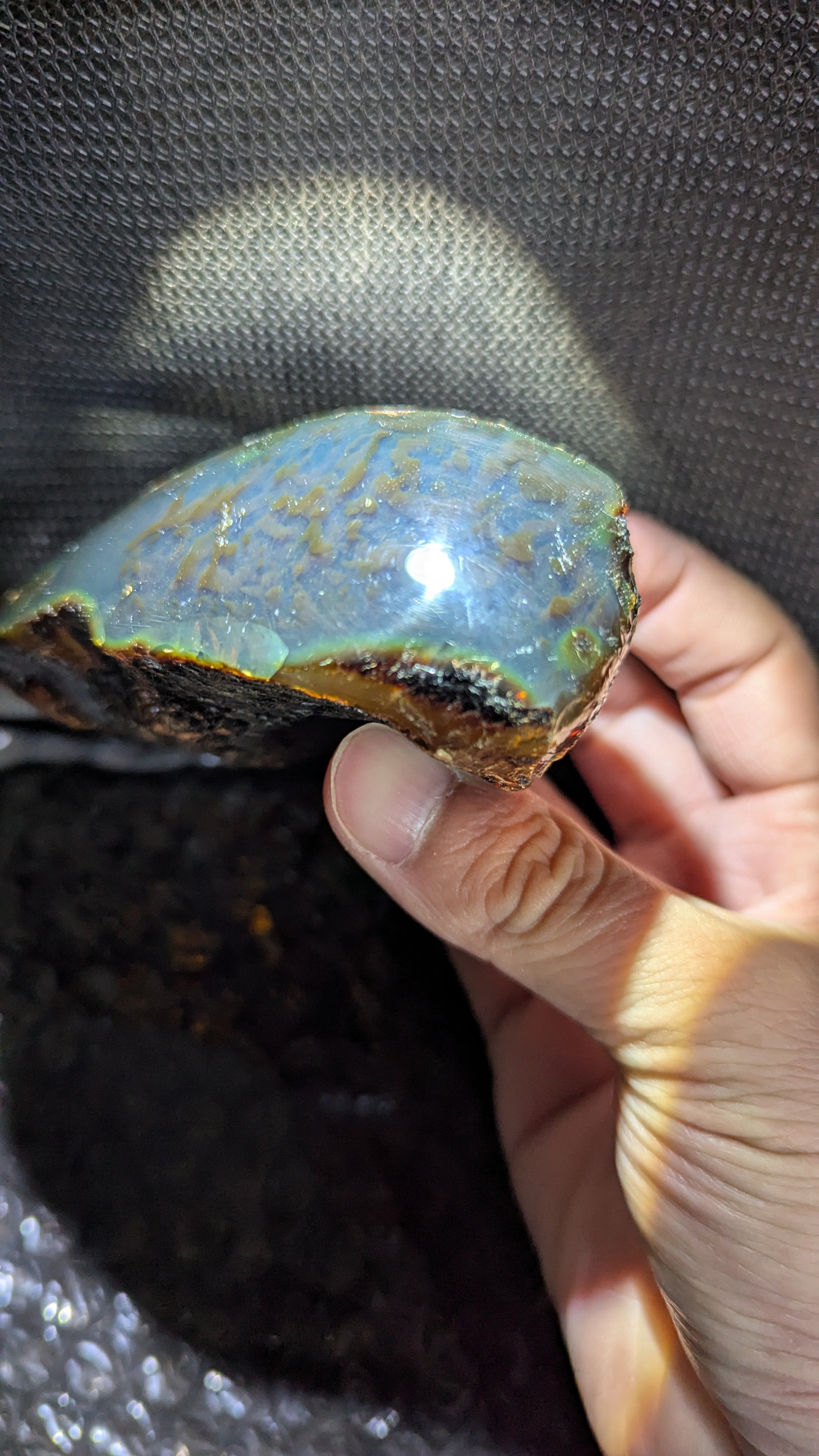 Rare Blue Amber Specimen (126 grams) - Beautiful Inclusions - Natural Blue Amber - Amber Specimen - Natural Amber Stone - UV Reactive