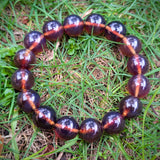 Authentic Blue Amber Bracelet - 15 mm beads (16 beads) - Reddish Brown Type