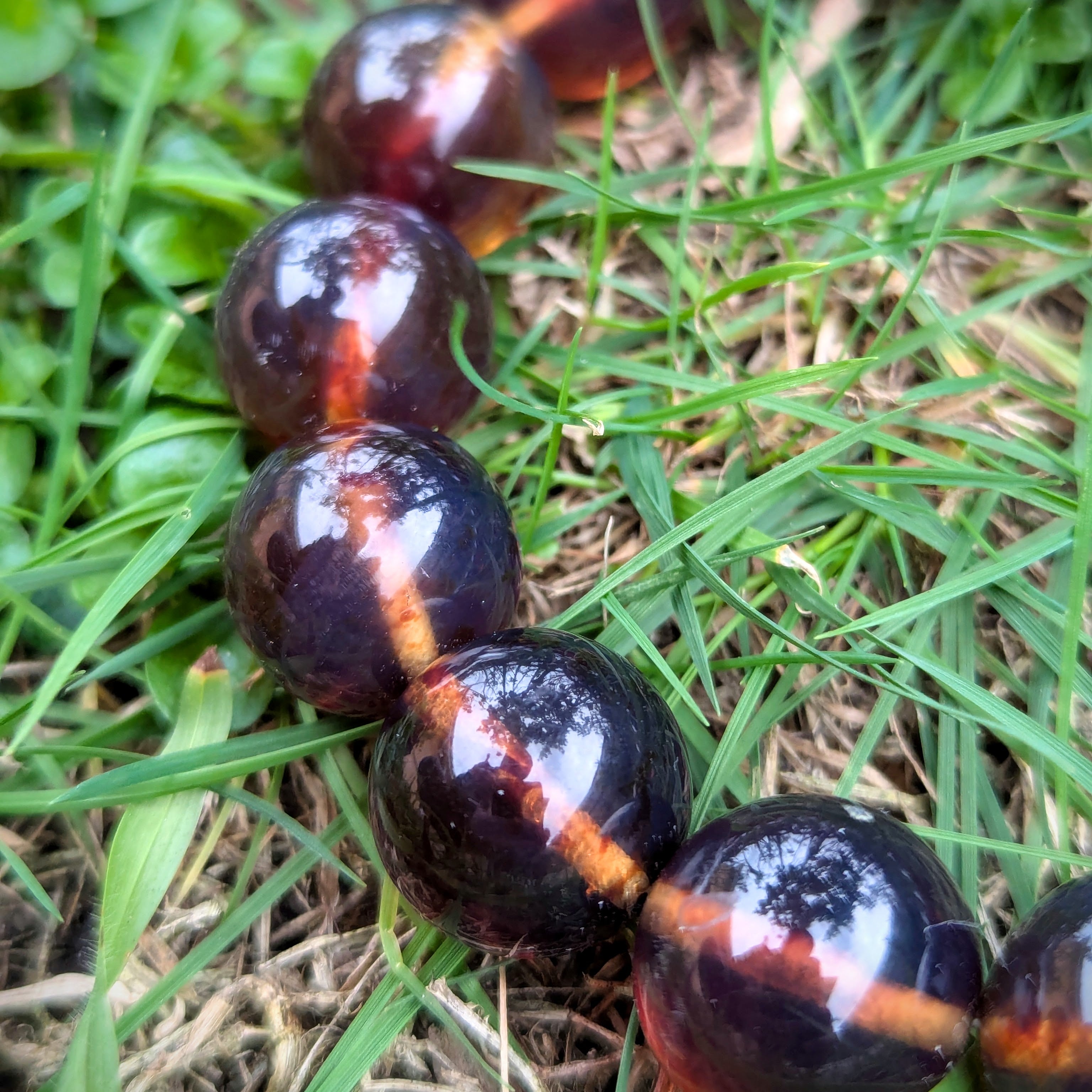 Authentic Blue Amber Bracelet - 15 mm beads (16 beads) - Reddish Brown Type