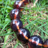 Authentic Blue Amber Bracelet - 15 mm beads (16 beads) - Reddish Brown Type
