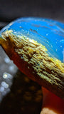 Rare Large Blue Amber Specimen (122 grams) - Natural Blue Amber - Natural Amber Stone