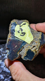 Rare Blue Amber Specimen (62 grams) - Natural Blue Amber with bark skin