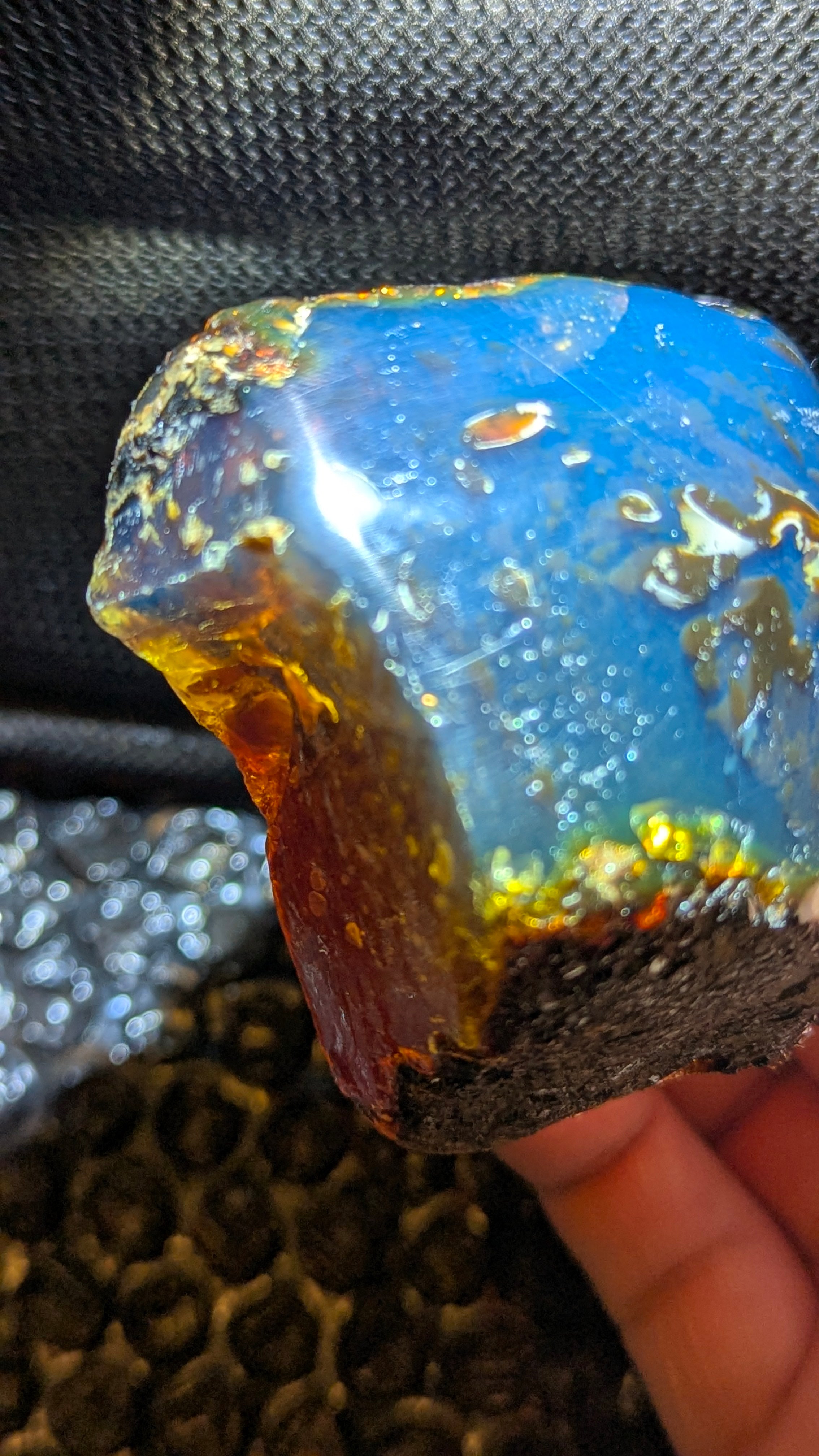 Rare Blue Amber Specimen (100 grams) - Large Natural Blue Amber with bark skin and beautiful inclusions
