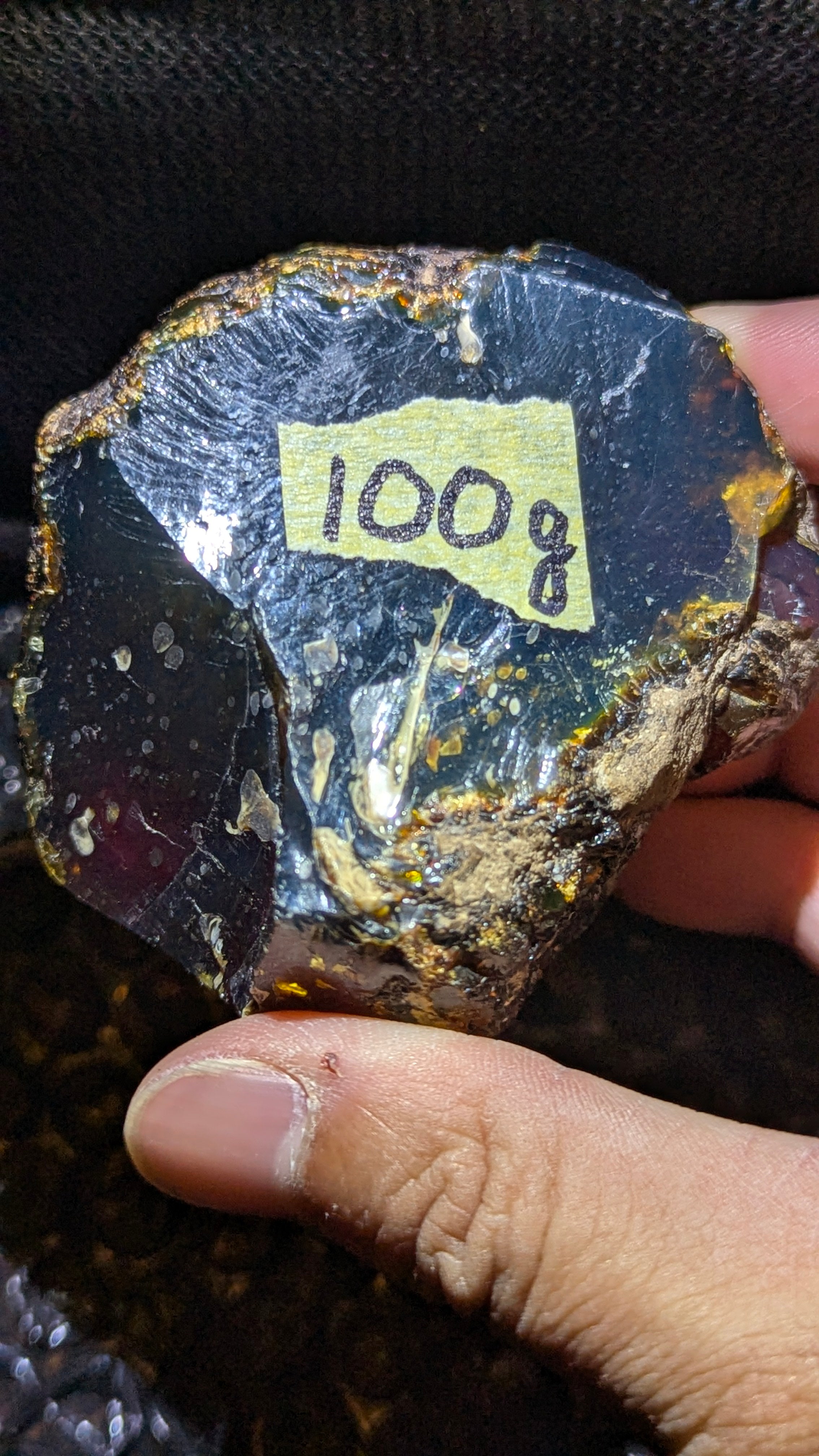Rare Blue Amber Specimen (100 grams) - Large Natural Blue Amber with bark skin and beautiful inclusions
