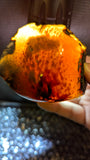 Rare Blue Amber Specimen (100 grams) - Large Natural Blue Amber with bark skin and beautiful inclusions