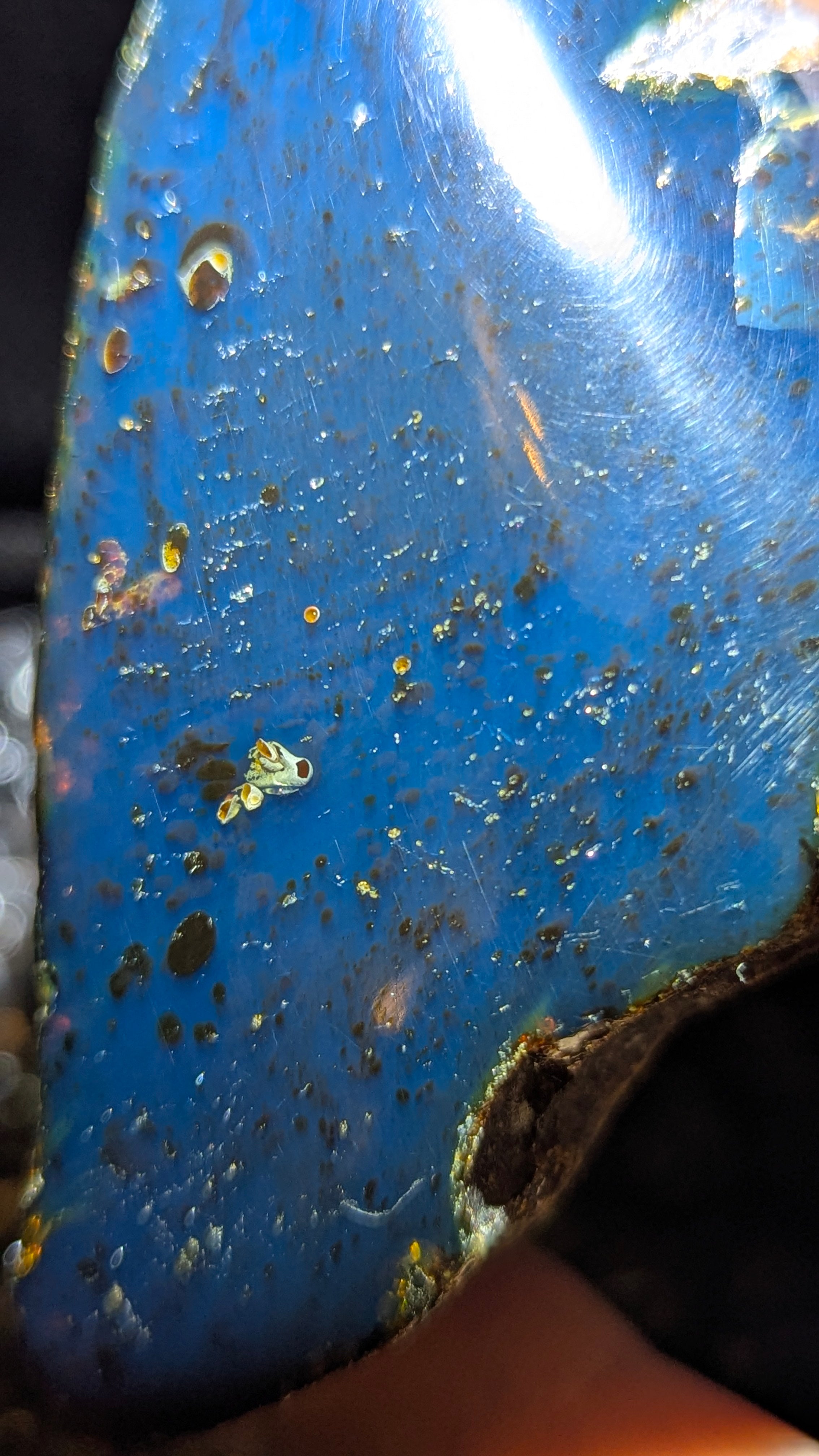 Rare Blue Amber Specimen (73 grams) - Excellent Grade - Natural Blue Amber with magical blue glow