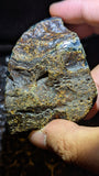 Rare Blue Amber Specimen (73 grams) - Excellent Grade - Natural Blue Amber with magical blue glow