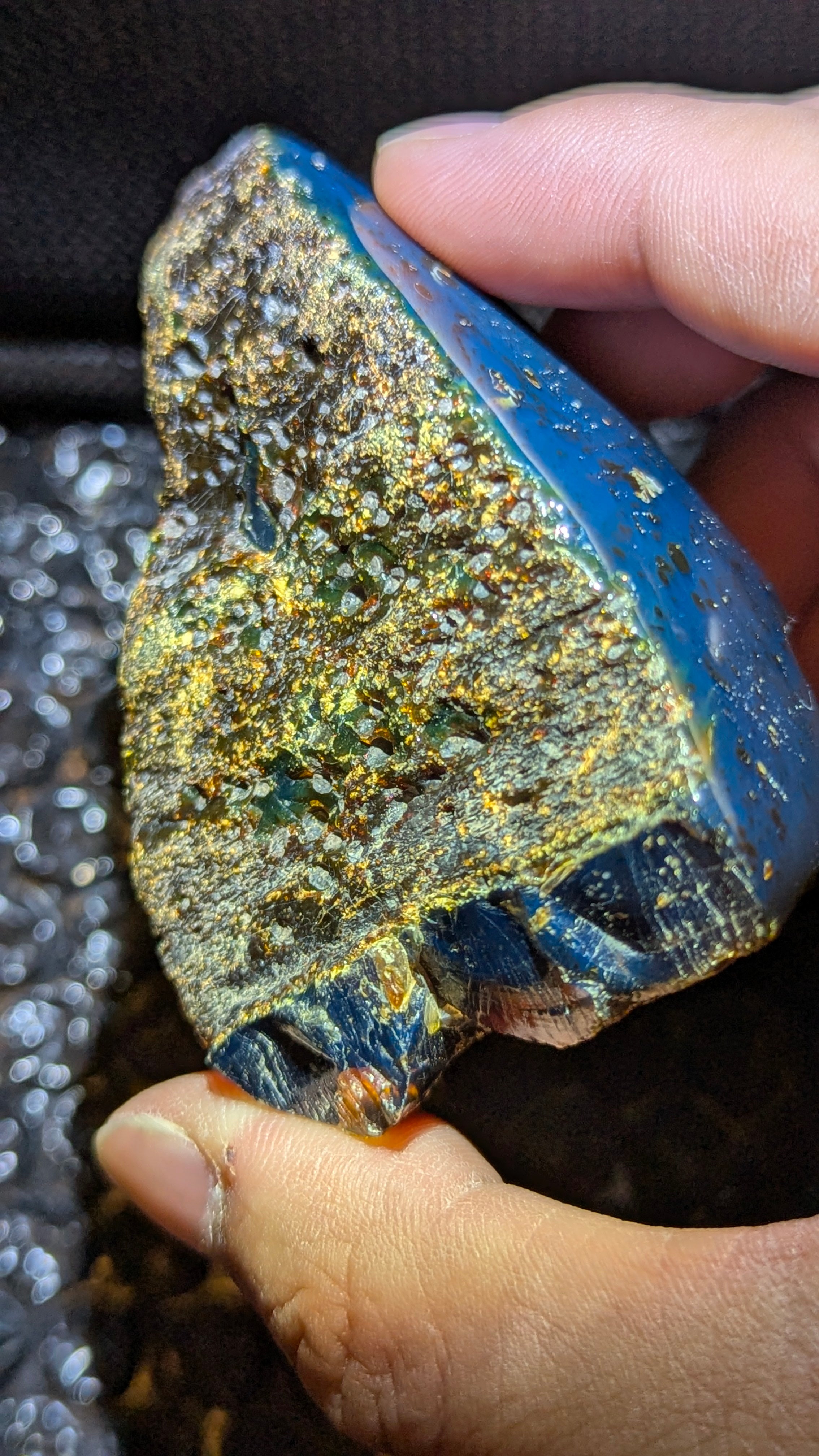 Rare Blue Amber Specimen (73 grams) - Excellent Grade - Natural Blue Amber with magical blue glow