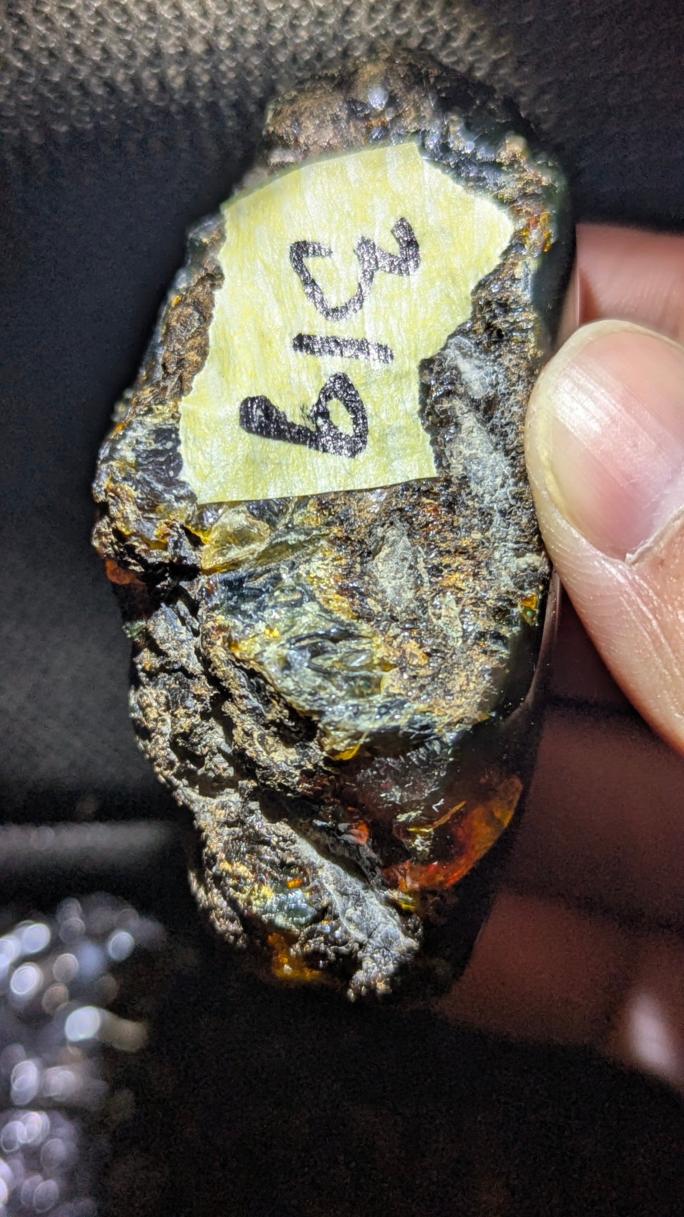 31 Grams Multicolor Amber—A Kaleidoscope of Ancient Light – Natural Amber, Untreated - Strong Blue Glow