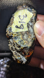 31 Grams Multicolor Amber—A Kaleidoscope of Ancient Light – Natural Amber, Untreated - Strong Blue Glow
