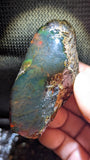 31 Grams Multicolor Amber—A Kaleidoscope of Ancient Light – Natural Amber, Untreated - Strong Blue Glow
