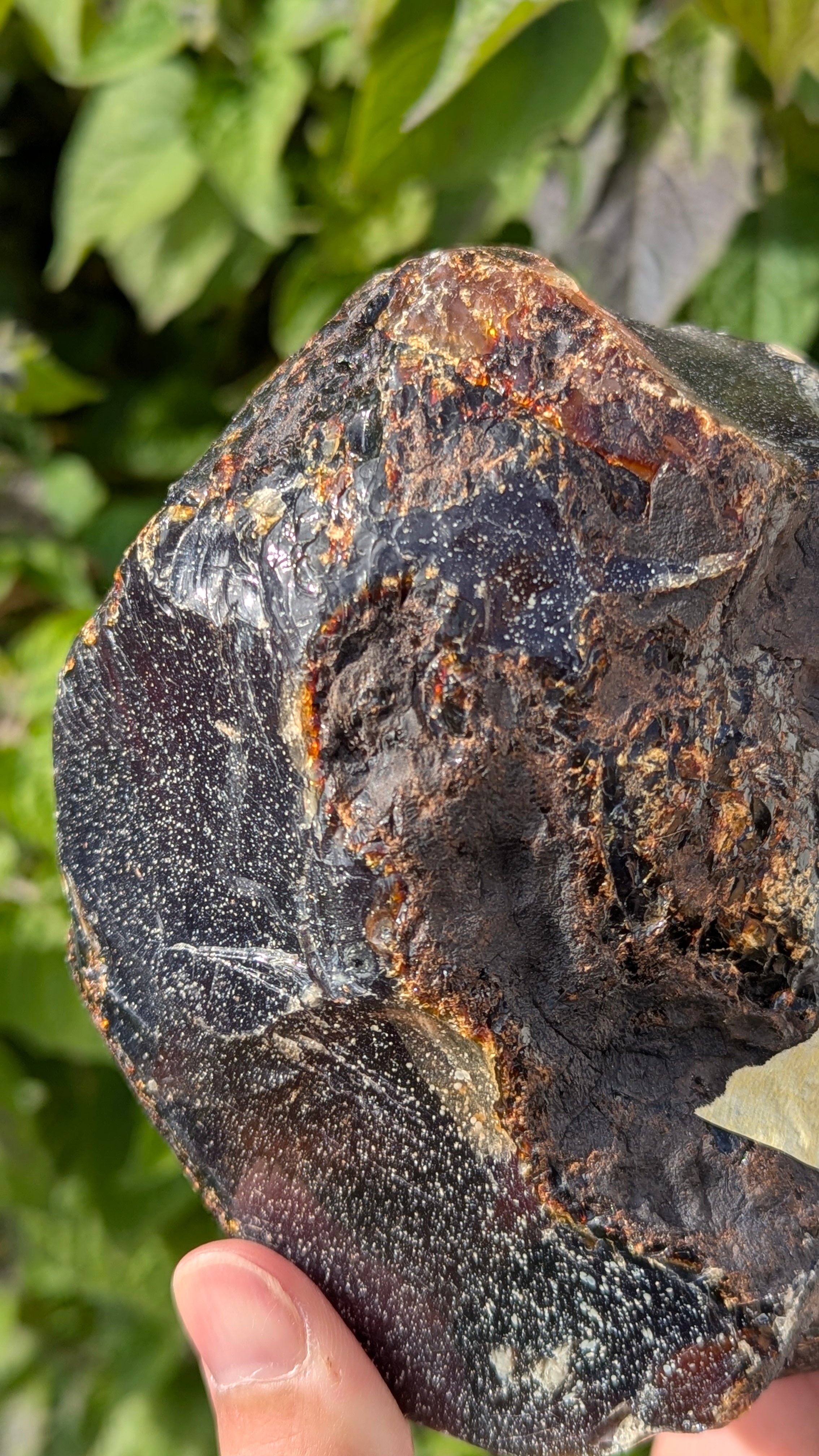Rare Raw Blue Amber (893 Grams) – Sunlight Glowing, UV-Reactive Natural Gemstone