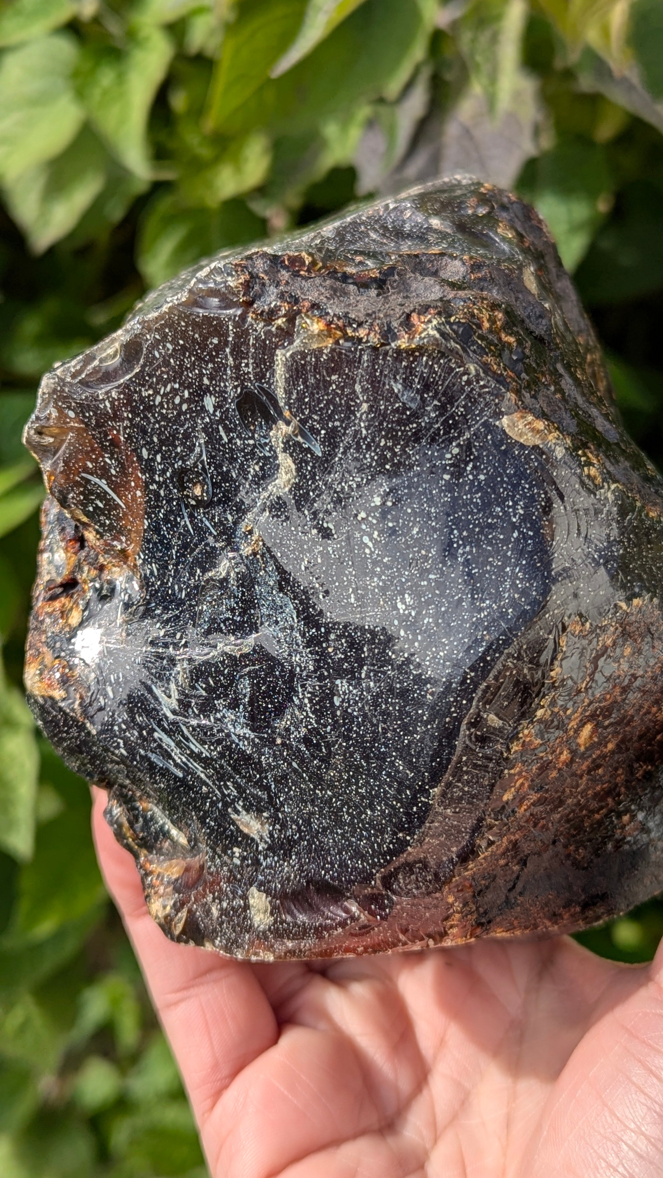 Rare Raw Blue Amber (893 Grams) – Sunlight Glowing, UV-Reactive Natural Gemstone