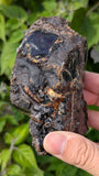 Rare Raw Blue Amber (210 Grams) – Sunlight Glowing, UV-Reactive Natural Gemstone