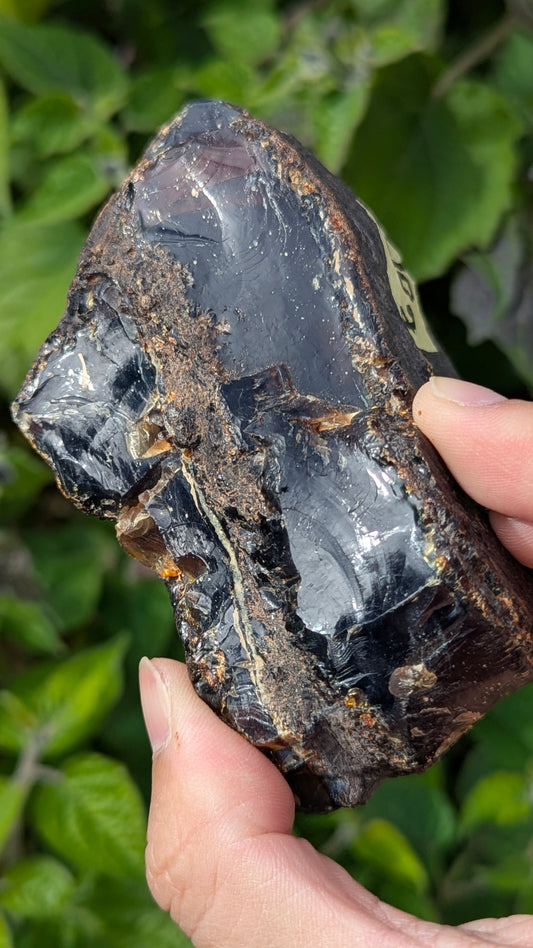 Rare Raw Blue Amber (210 Grams) – Sunlight Glowing, UV-Reactive Natural Gemstone
