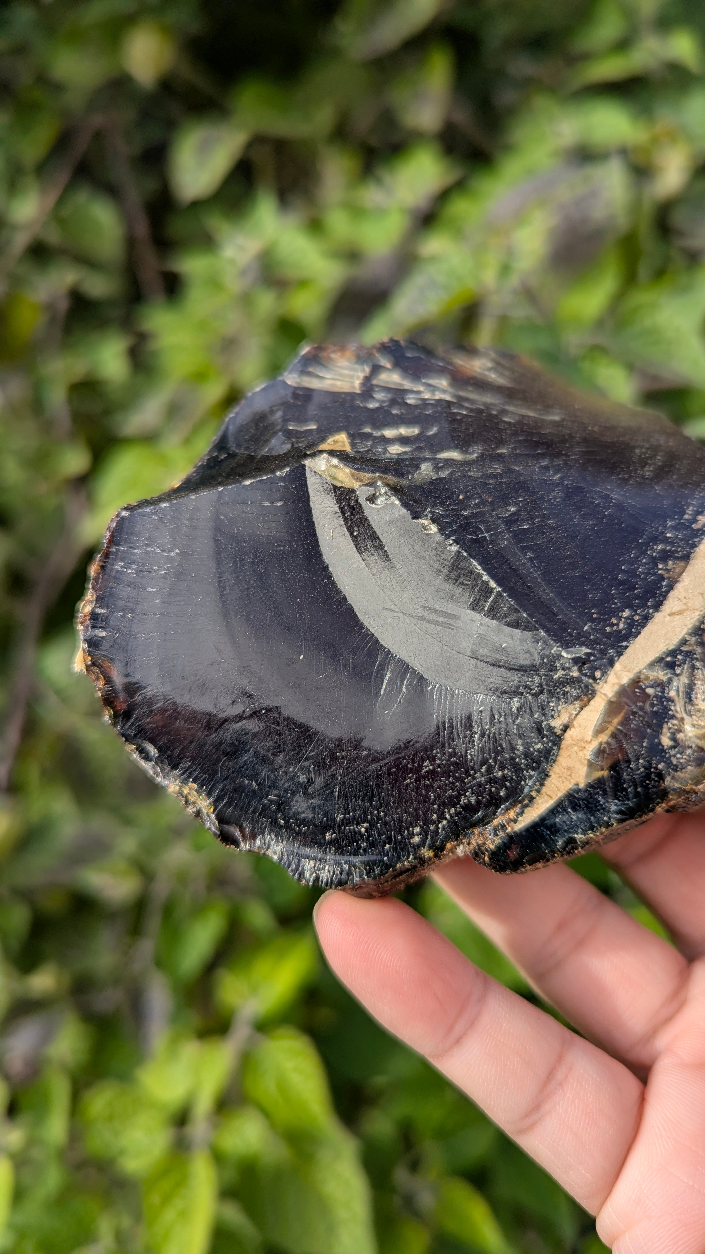 Rare Raw Blue Amber (181 Grams) – Sunlight Glowing, UV-Reactive Natural Gemstone