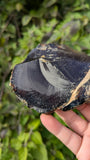 Rare Raw Blue Amber (181 Grams) – Sunlight Glowing, UV-Reactive Natural Gemstone