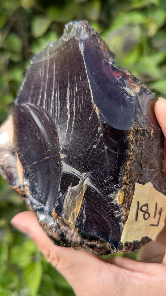 Rare Raw Blue Amber (181 Grams) – Sunlight Glowing, UV-Reactive Natural Gemstone