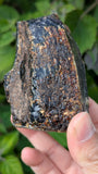 Rare Raw Blue Amber (156 Grams) – Sunlight Glowing, UV-Reactive Natural Gemstone