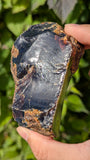 Rare Raw Blue Amber (215 Grams) – Sunlight Glowing, UV-Reactive Natural Gemstone