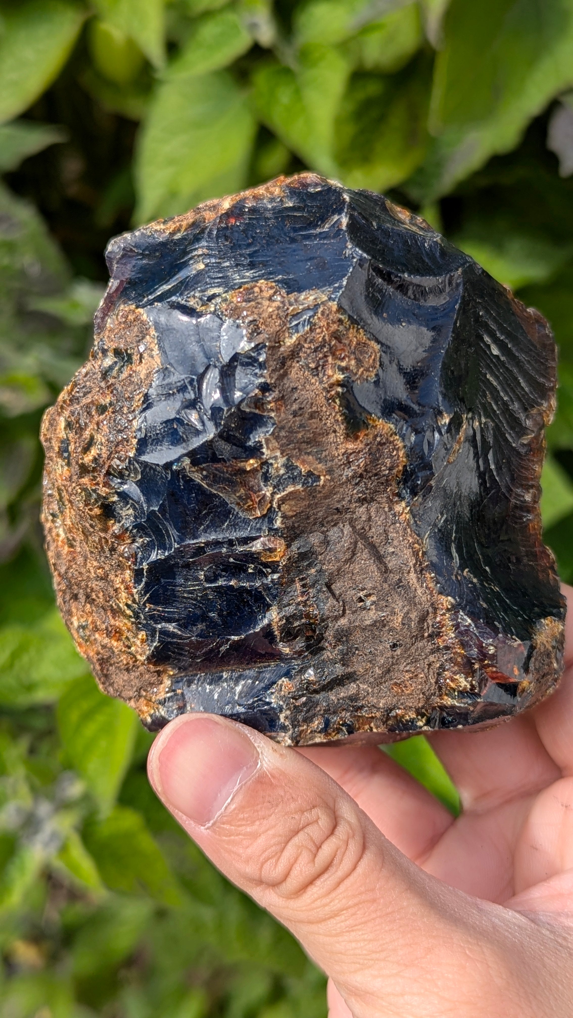 Rare Raw Blue Amber (215 Grams) – Sunlight Glowing, UV-Reactive Natural Gemstone