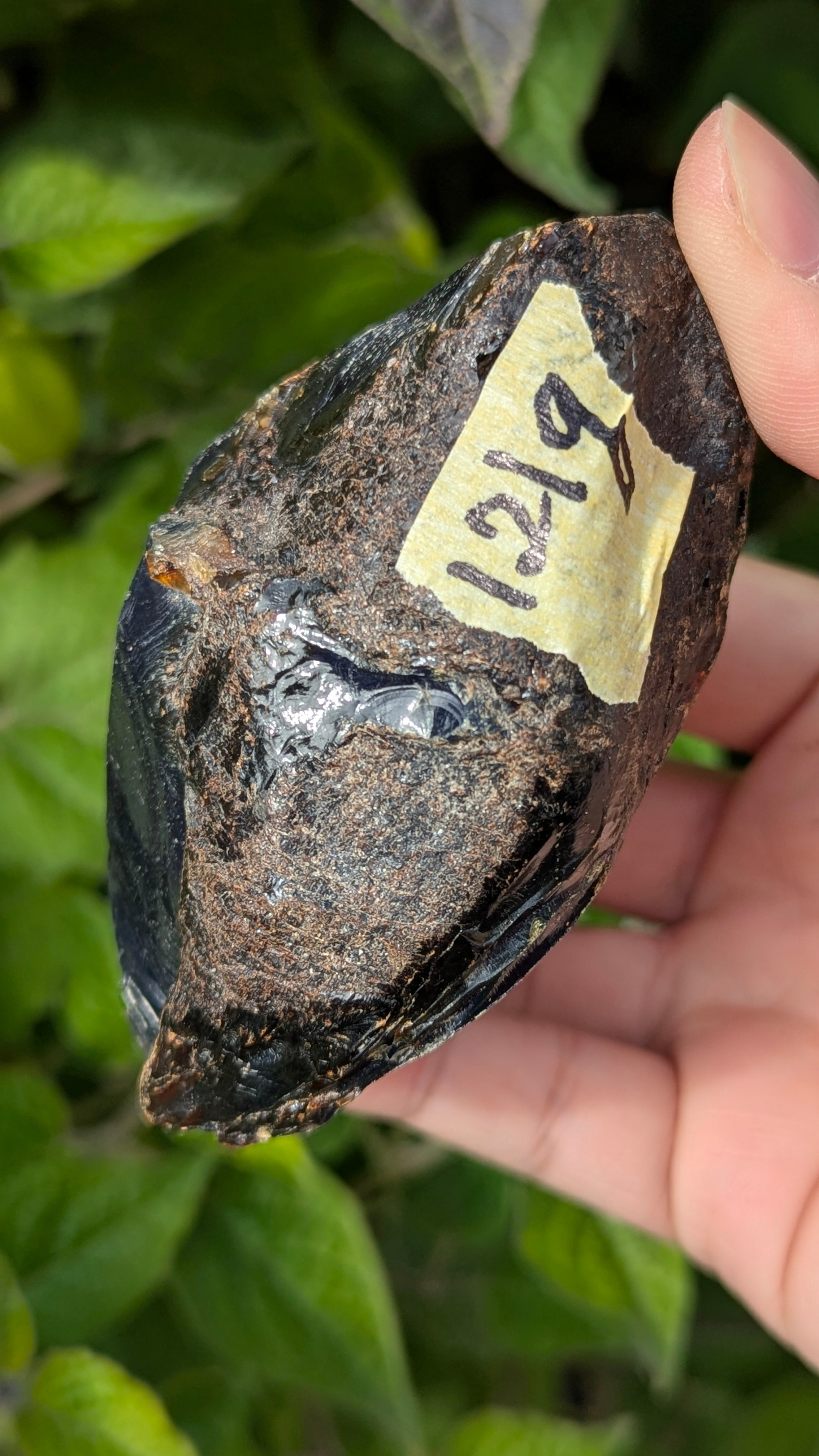 Rare Raw Blue Amber (121 Grams) – Sunlight Glowing, UV-Reactive Natural Gemstone