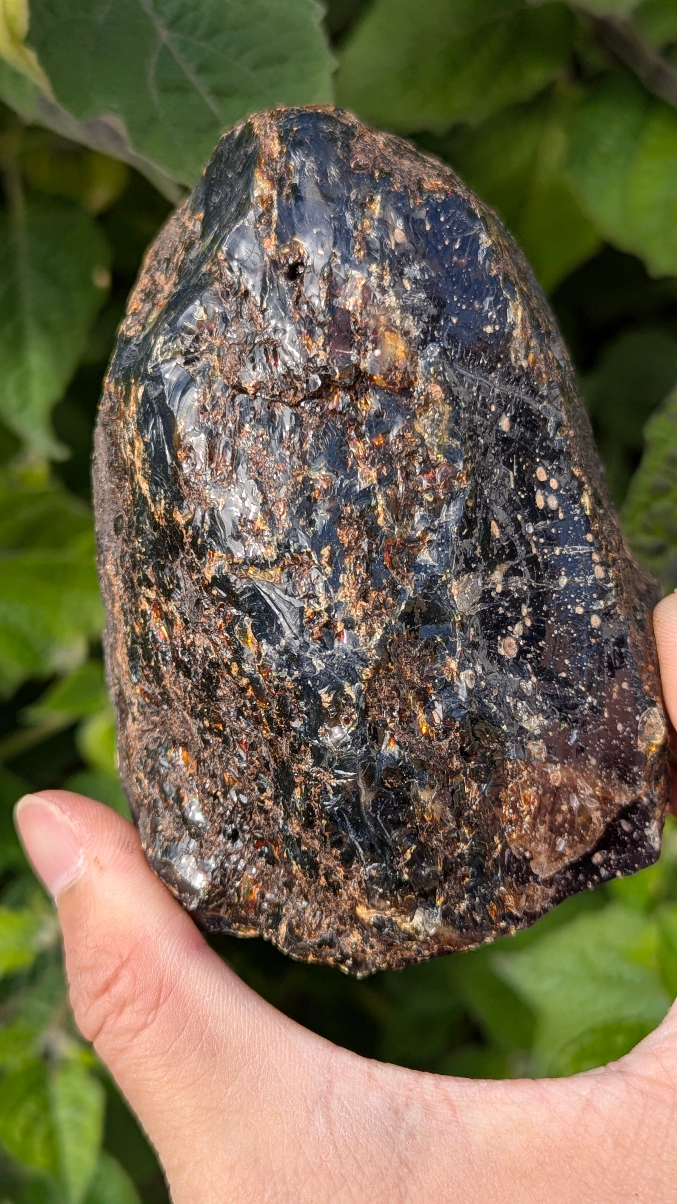 Rare Raw Blue Amber (322 Grams) – Sunlight Glowing, UV-Reactive Natural Gemstone