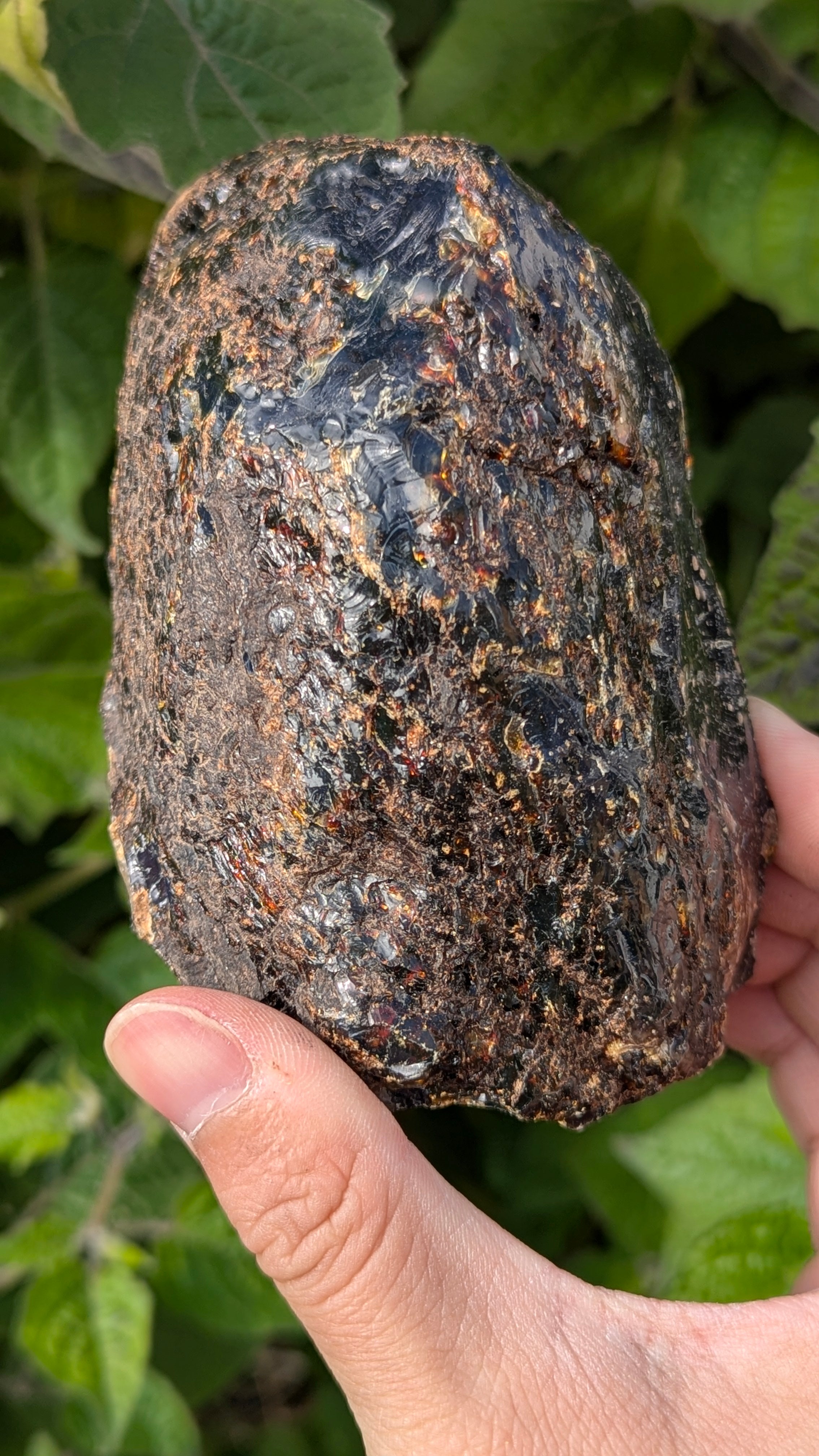 Rare Raw Blue Amber (322 Grams) – Sunlight Glowing, UV-Reactive Natural Gemstone