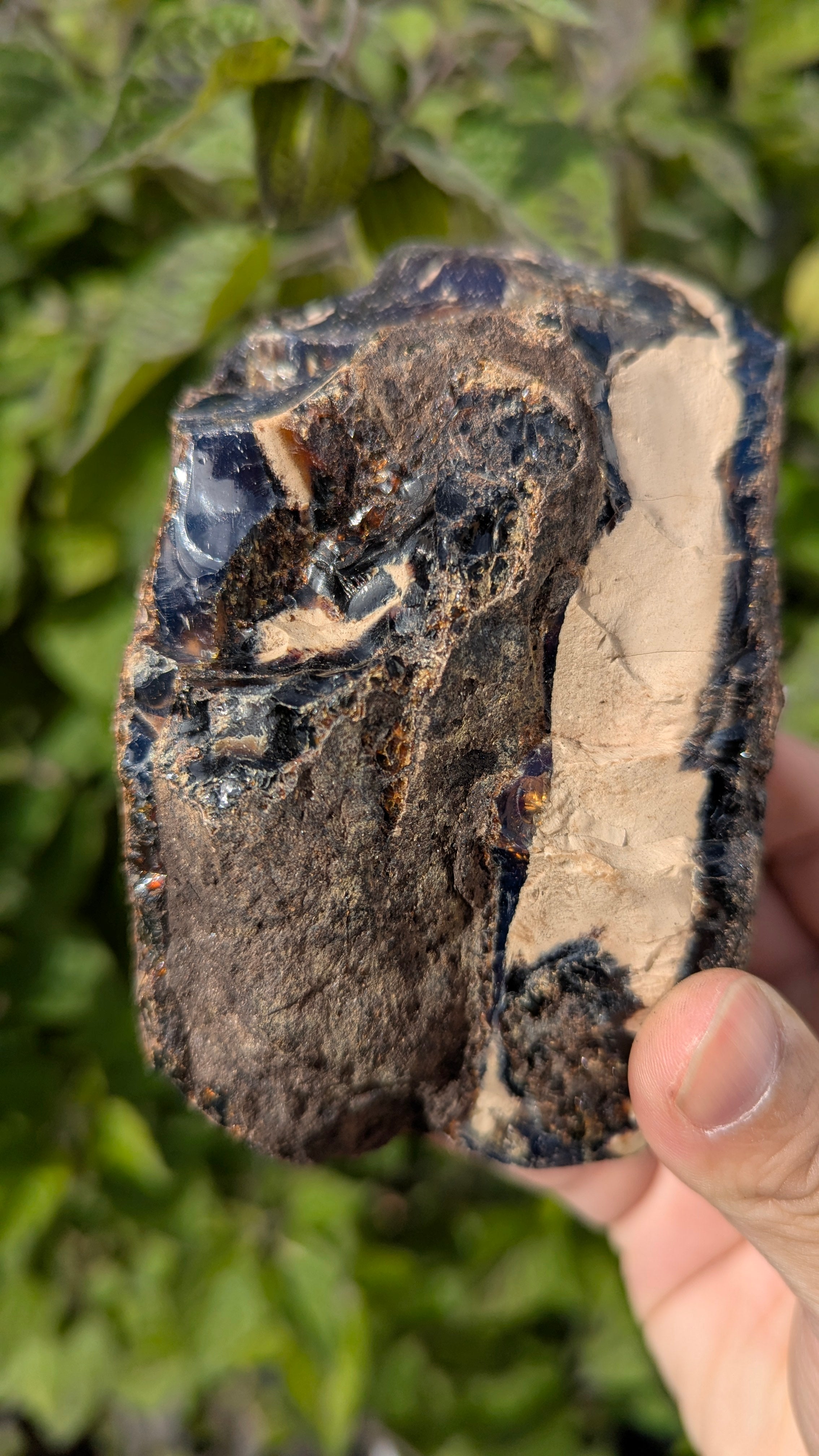 Rare Raw Blue Amber (275 Grams) – Sunlight Glowing, UV-Reactive Natural Gemstone