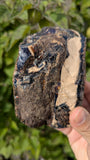 Rare Raw Blue Amber (275 Grams) – Sunlight Glowing, UV-Reactive Natural Gemstone