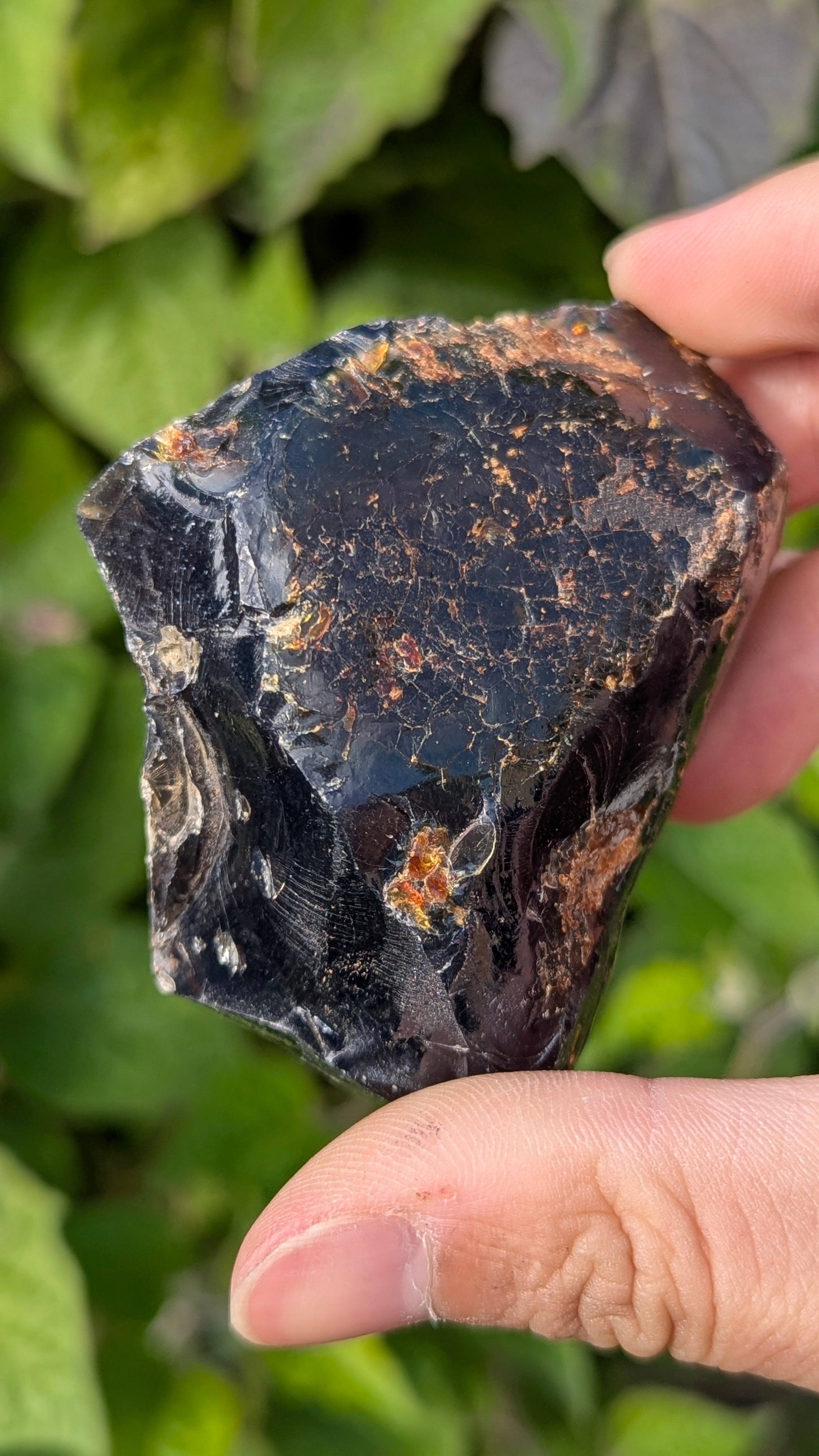 Rare Raw Blue Amber (67 Grams) – Sunlight Glowing, UV-Reactive Natural Gemstone