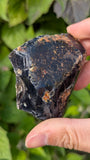 Rare Raw Blue Amber (67 Grams) – Sunlight Glowing, UV-Reactive Natural Gemstone
