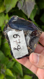Rare Raw Blue Amber (67 Grams) – Sunlight Glowing, UV-Reactive Natural Gemstone