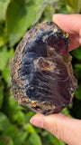 Rare Raw Blue Amber (78 Grams) – Sunlight Glowing, UV-Reactive Natural Gemstone