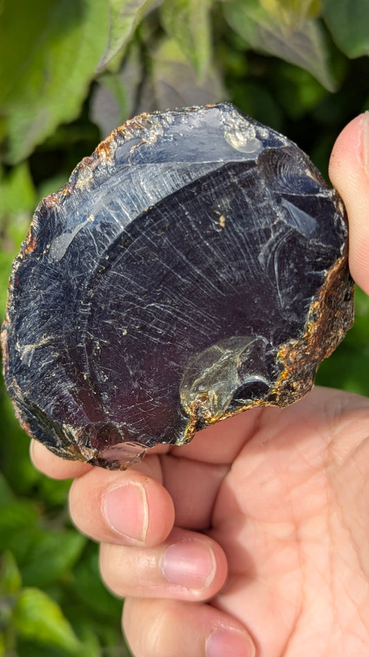Rare Raw Blue Amber (78 Grams) – Sunlight Glowing, UV-Reactive Natural Gemstone