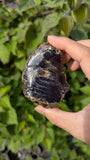 Rare Raw Blue Amber (78 Grams) – Sunlight Glowing, UV-Reactive Natural Gemstone