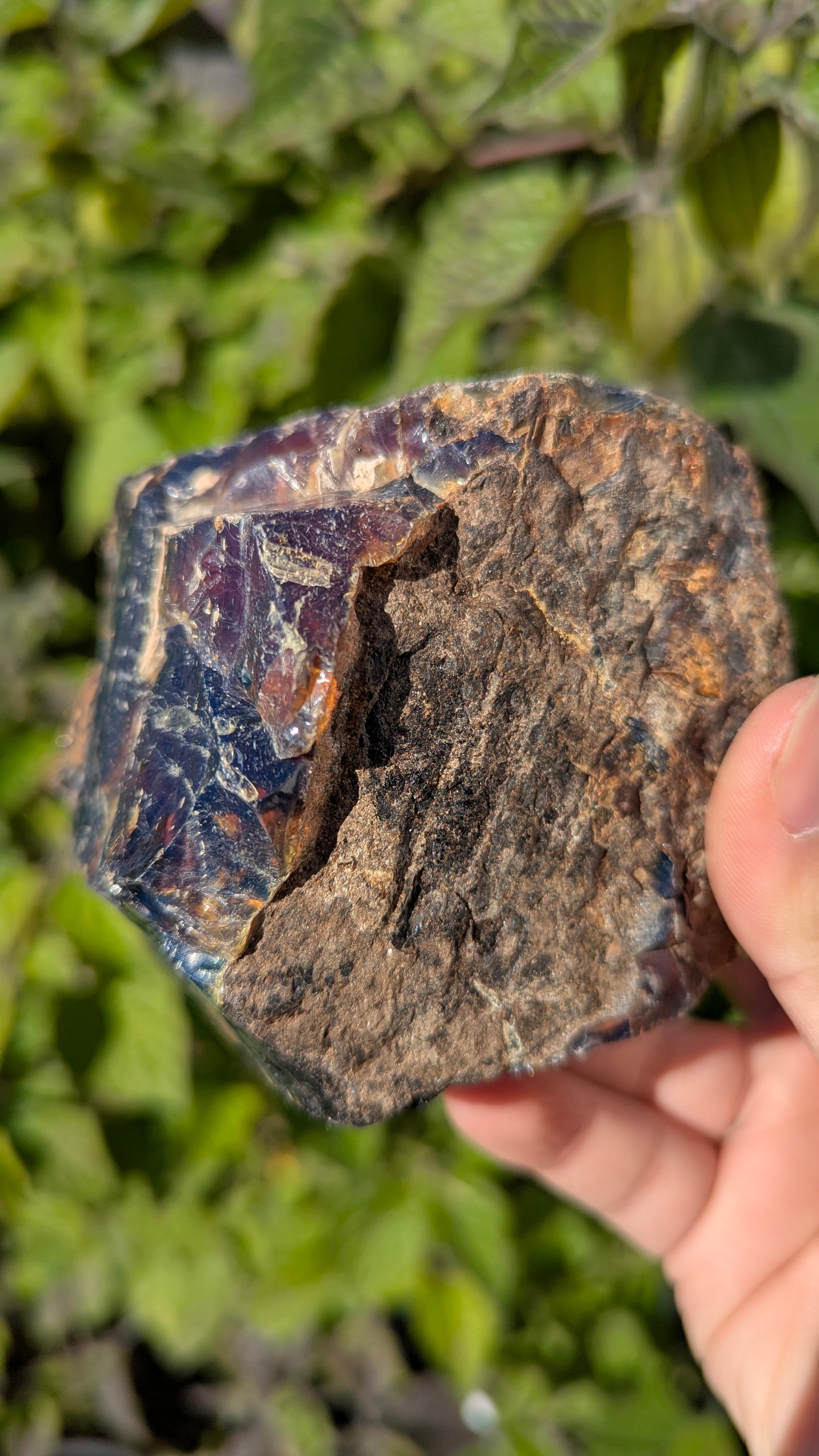 Rare Raw Blue Amber (294 Grams) – Sunlight Glowing, UV-Reactive Natural Gemstone