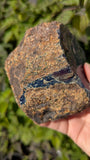 Rare Raw Blue Amber (294 Grams) – Sunlight Glowing, UV-Reactive Natural Gemstone