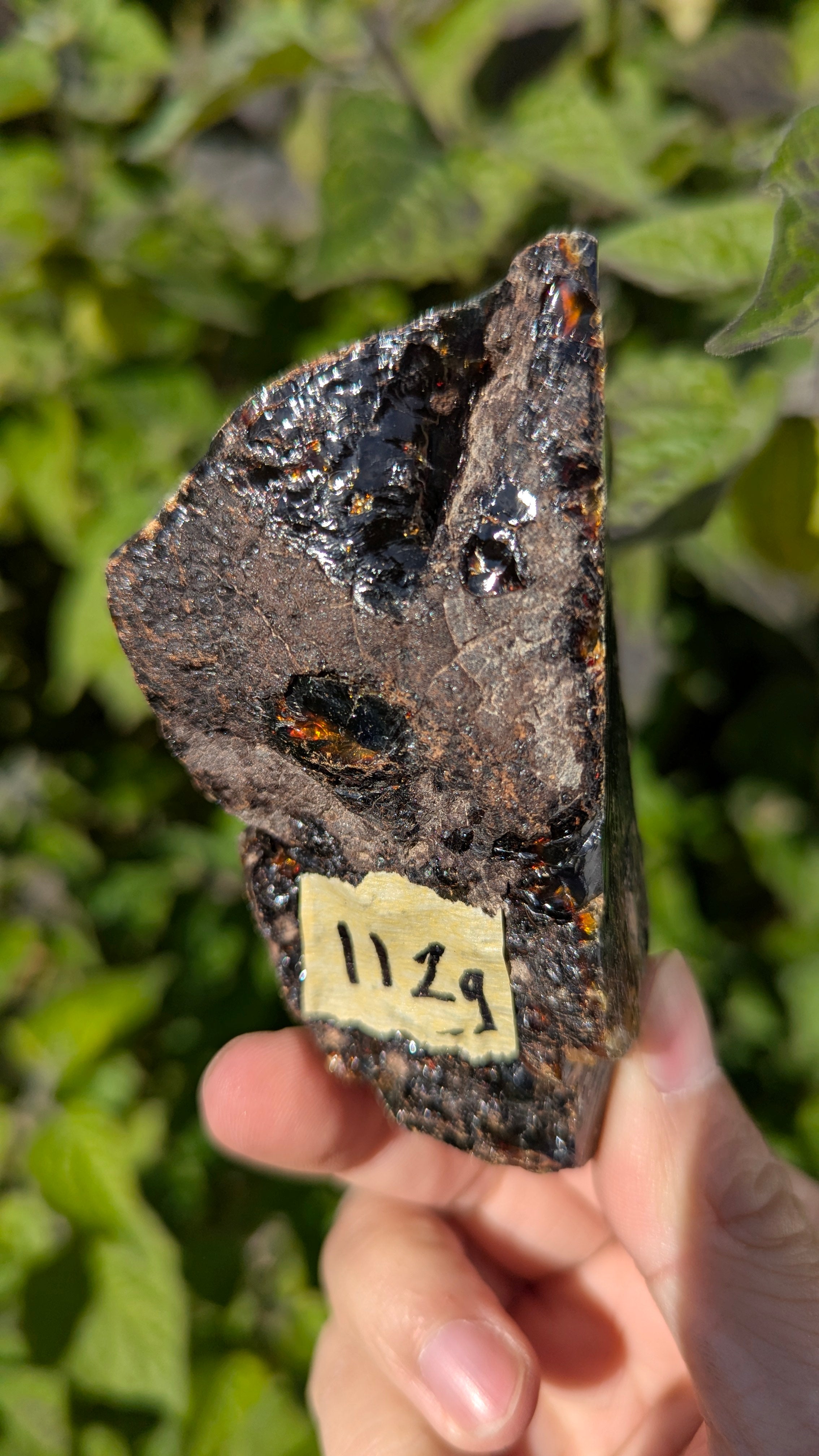 Rare Raw Blue Amber (112 Grams) – Sunlight Glowing, UV-Reactive Natural Gemstone