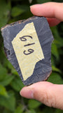 Rare Raw Blue Amber (61 Grams) – Sunlight Glowing, UV-Reactive Natural Gemstone