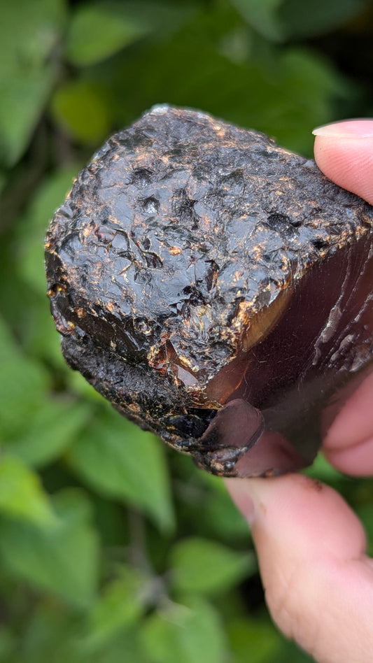 Rare Raw Blue Amber (61 Grams) – Sunlight Glowing, UV-Reactive Natural Gemstone