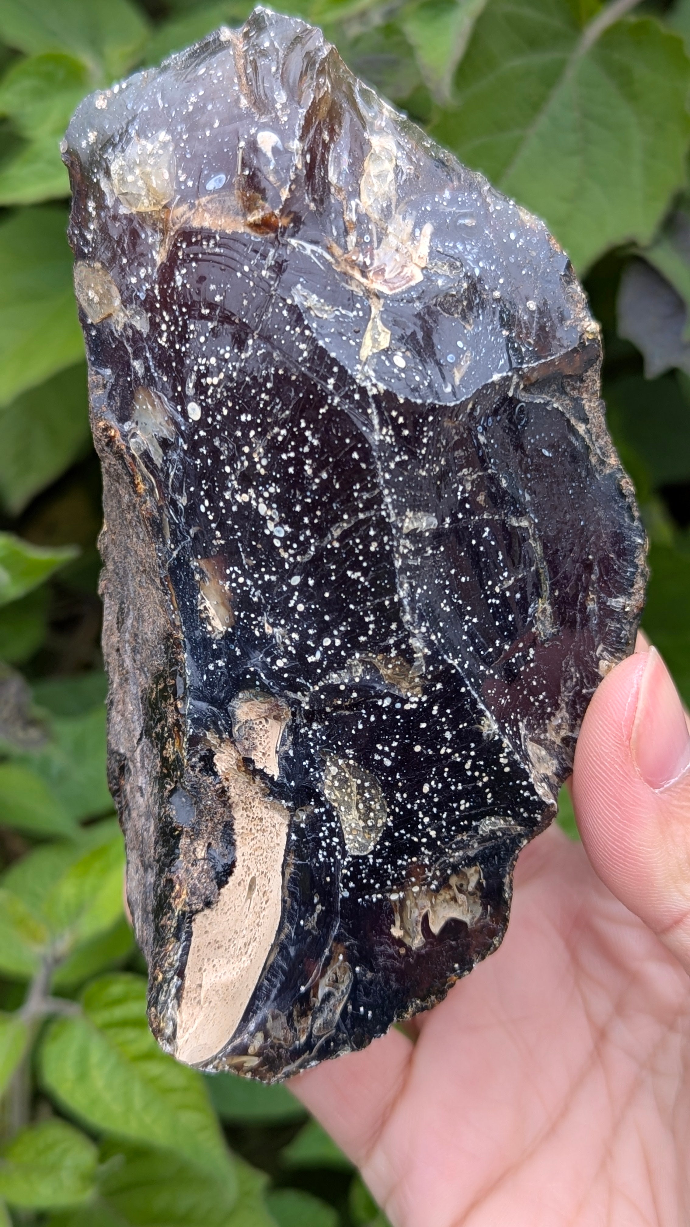 Rare Raw Blue Amber (213 Grams) – Sunlight Glowing, UV-Reactive Natural Gemstone