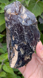 Rare Raw Blue Amber (213 Grams) – Sunlight Glowing, UV-Reactive Natural Gemstone