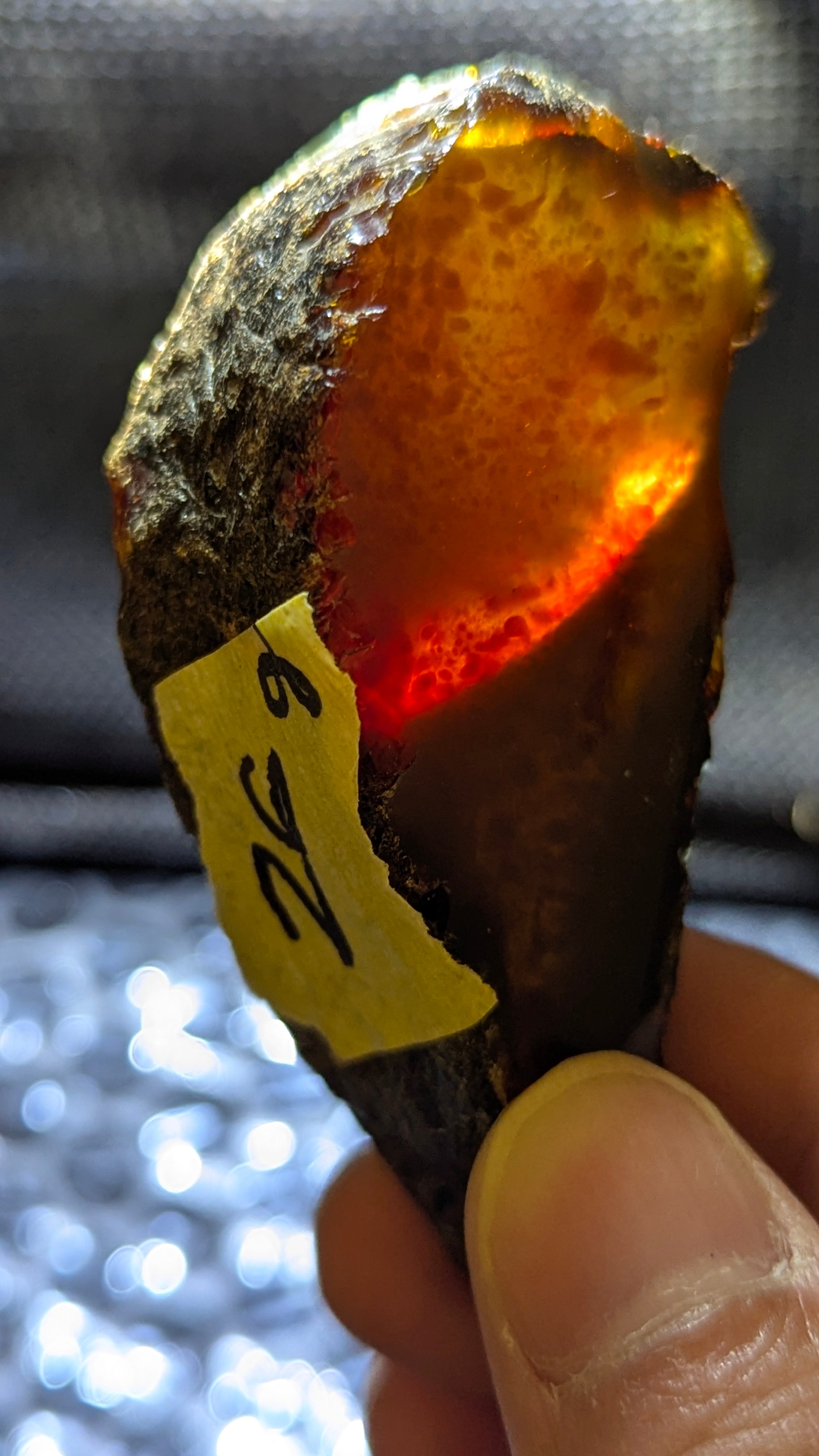 Beautiful Genuine 26g Blue Amber – Natural Amber, Untreated